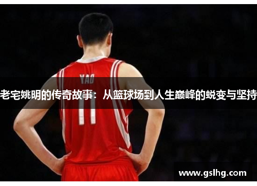 老宅姚明的传奇故事：从篮球场到人生巅峰的蜕变与坚持