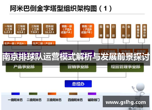 南京排球队运营模式解析与发展前景探讨