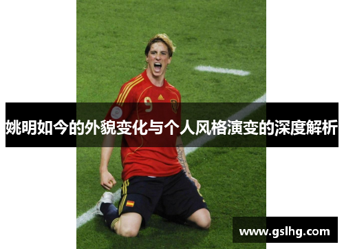 姚明如今的外貌变化与个人风格演变的深度解析