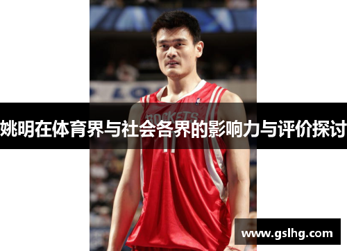 姚明在体育界与社会各界的影响力与评价探讨
