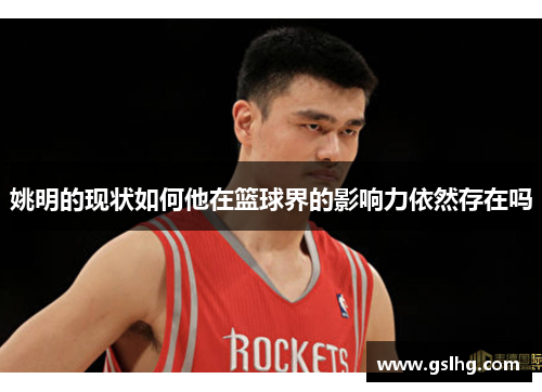 姚明的现状如何他在篮球界的影响力依然存在吗