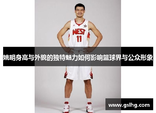姚明身高与外貌的独特魅力如何影响篮球界与公众形象