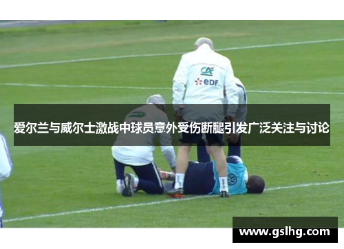 爱尔兰与威尔士激战中球员意外受伤断腿引发广泛关注与讨论